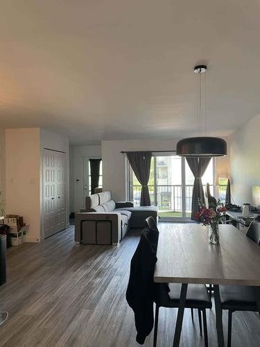 Appartement de 1 chambre à louer à Lévis — photo 3