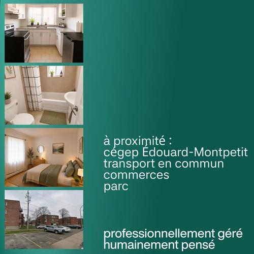 1 bedroom apartment for rent in Longueuil — photo 5