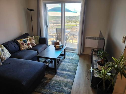 1 bedroom apartment for rent in Laval — photo 3