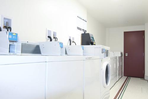 2 bedrooms apartment for rent in Montreal - Le Plateau-Mont-Royal — photo 6