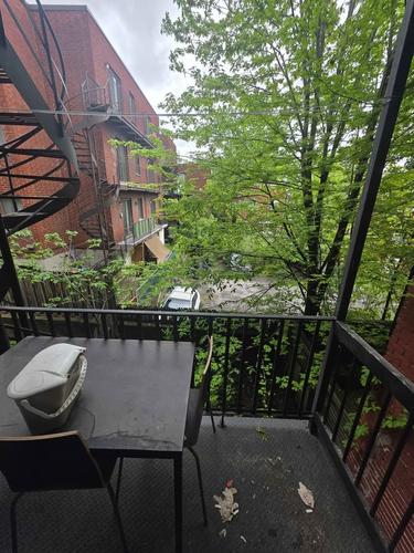 Studio à louer à Montreal - Mercier–Hochelaga-Maisonneuve — photo 4