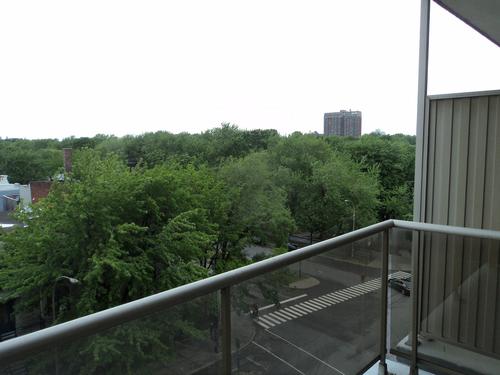 Studio for rent in Montreal - Le Plateau-Mont-Royal — photo 13