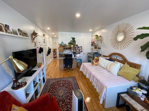 Appartement de 1 chambre à louer à Montreal - Mercier–Hochelaga-Maisonneuve — photo 3