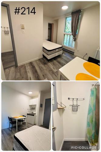 1 bedroom apartment for rent in Montreal - Ville-Marie — photo 6