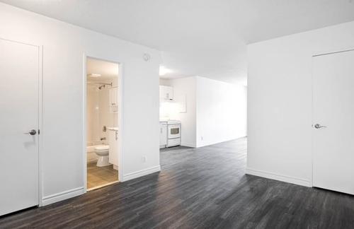 1 bedroom apartment for rent in Montreal - Le Plateau-Mont-Royal — photo 3