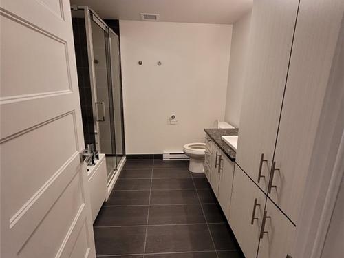 1 bedroom apartment for rent in Québec - Sainte-Foy–Sillery–Cap-Rouge — photo 3