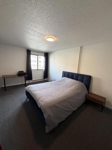 1 bedroom apartment for rent in Gatineau — photo 6