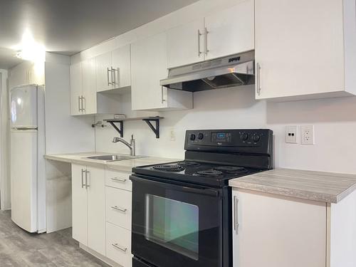 1 bedroom apartment for rent in Montreal - Le Plateau-Mont-Royal — photo 2