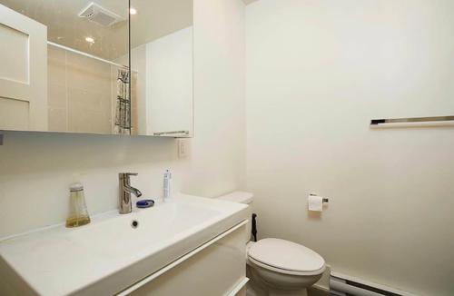 Appartement de 3 chambres à louer à Montreal - Le Plateau-Mont-Royal — photo 8