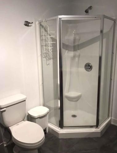 Appartement de 1 chambre à louer à Longueuil — photo 8