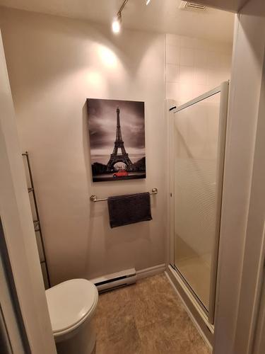 Appartement de 1 chambre à louer à Gatineau — photo 5