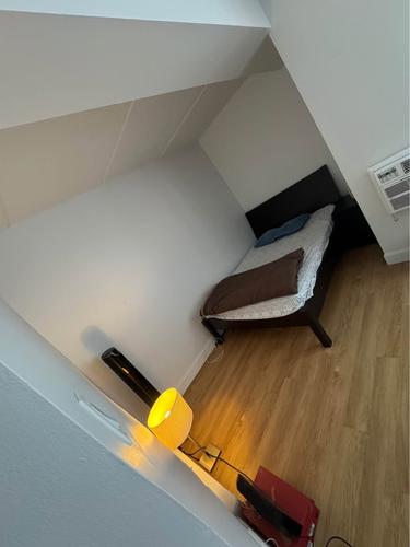 Appartement de 1 chambre à louer à Longueuil — photo 7