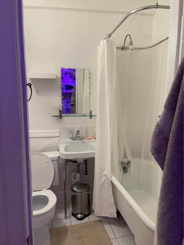 1 bedroom apartment for rent in Montreal - Le Plateau-Mont-Royal — photo 9