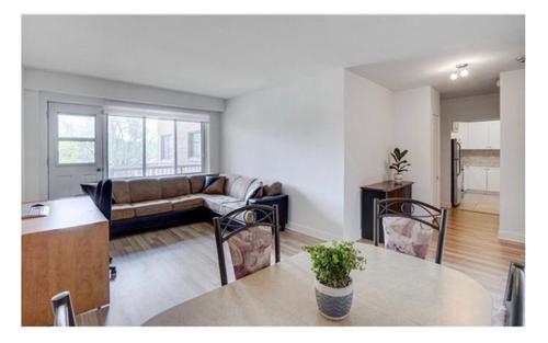 1 bedroom apartment for rent in Montréal — photo 4