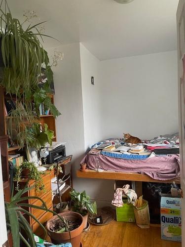 Appartement de 3 chambres à louer à Longueuil — photo 15