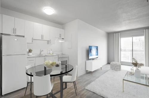1 bedroom apartment for rent in Montreal - Le Plateau-Mont-Royal — photo 2