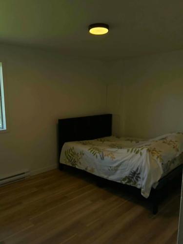 2 bedrooms apartment for rent in Lévis — photo 7