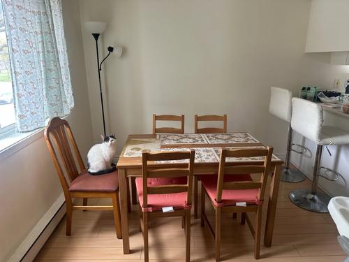 Appartement de 3 chambres à louer à Laval — photo 22
