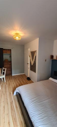 1 bedroom apartment for rent in Montreal - Le Plateau-Mont-Royal — photo 7