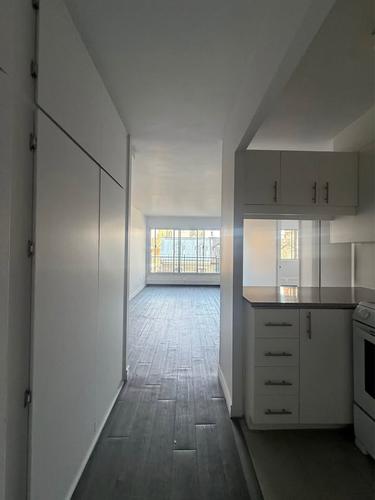 Appartement de 1 chambre à louer à Montreal - Le Plateau-Mont-Royal — photo 4
