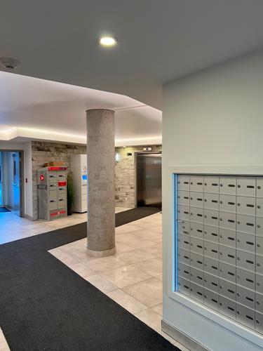 Appartement de 1 chambre à louer à Montreal - Rosemont–La Petite-Patrie — photo 8