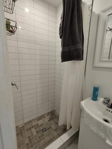 1 bedroom apartment for rent in Montreal - Le Plateau-Mont-Royal — photo 10