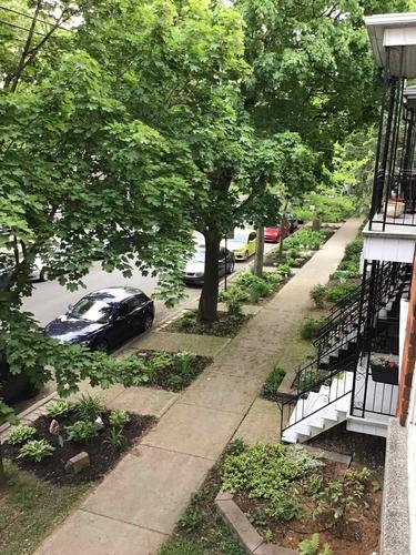 1 bedroom apartment for rent in Montreal - Rosemont–La Petite-Patrie — photo 24