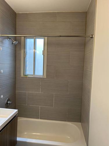 Appartement de 1 chambre à louer à Montreal - Rosemont–La Petite-Patrie — photo 7