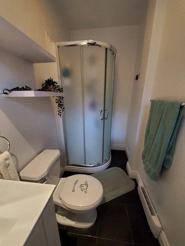 Appartement de 2 chambres à louer à Québec - La Cité-Limoilou — photo 2