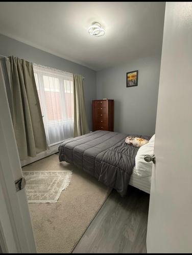 1 bedroom apartment for rent in Montreal - Ville-Marie — photo 4