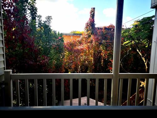 2 bedrooms apartment for rent in Montreal - Le Plateau-Mont-Royal — photo 7