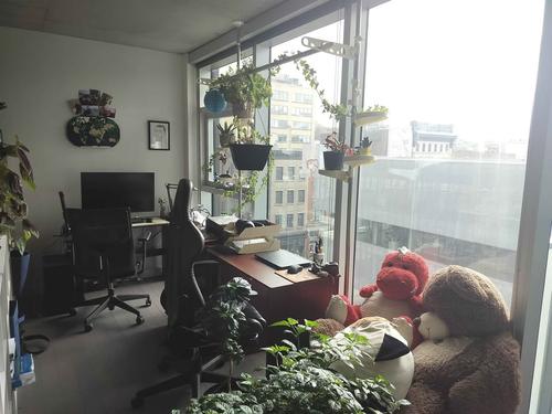 Appartement de 1 chambre à louer à Québec - La Cité-Limoilou — photo 3