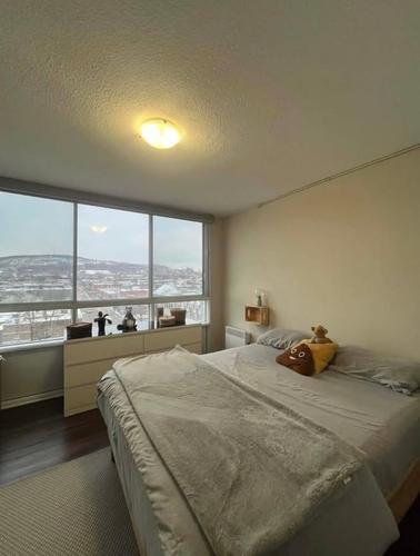 1 bedroom apartment for rent in Montreal - Le Plateau-Mont-Royal — photo 3