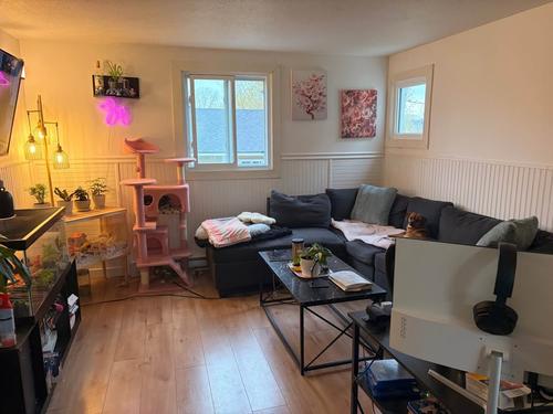 1 bedroom apartment for rent in Gatineau — photo 8