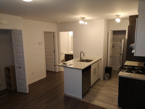 1 bedroom apartment for rent in Gatineau — photo 4