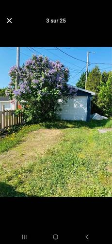 Appartement de 3 chambres à louer à Lévis — photo 15