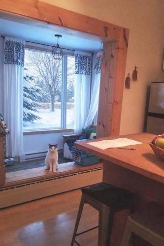 Appartement de 1 chambre à louer à Lévis — photo 3