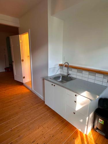 Appartement de 1 chambre à louer à Montreal - Le Plateau-Mont-Royal — photo 8