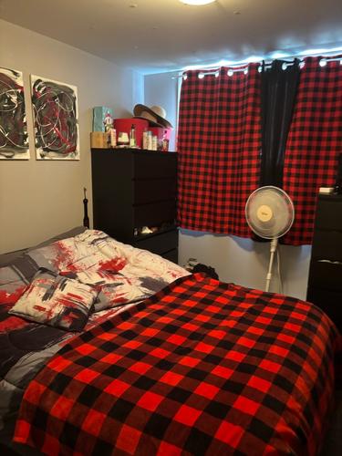Appartement de 2 chambres à louer à Longueuil — photo 7