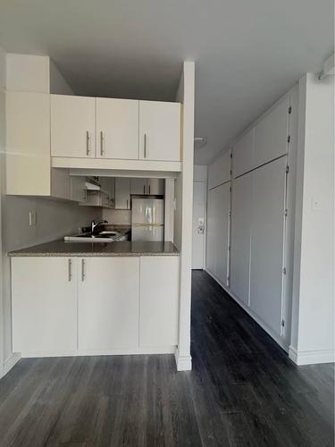 Appartement de 1 chambre à louer à Montreal - Le Plateau-Mont-Royal — photo 6