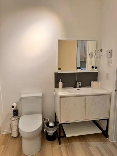 1 bedroom apartment for rent in Québec - Sainte-Foy–Sillery–Cap-Rouge — photo 3