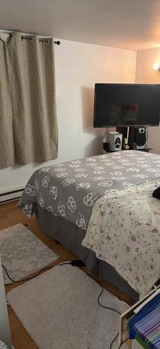 1 bedroom apartment for rent in Lévis — photo 2