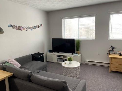 Appartement de 1 chambre à louer à Sherbrooke — photo 3