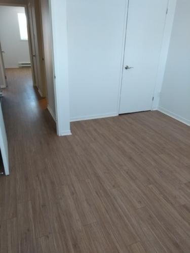 2 bedrooms apartment for rent in Lévis — photo 2