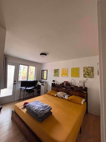 1 bedroom apartment for rent in Montreal - Rosemont–La Petite-Patrie — photo 2