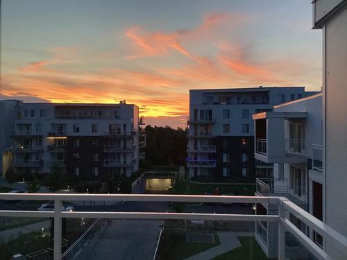 1 bedroom apartment for rent in Longueuil — photo 2