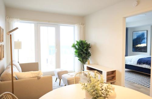 1 bedroom apartment for rent in Lévis — photo 5