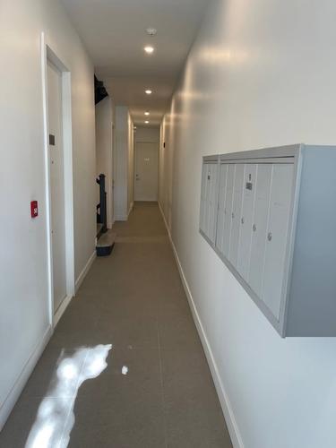 Appartement de 2 chambres à louer à Montreal - Le Plateau-Mont-Royal — photo 4