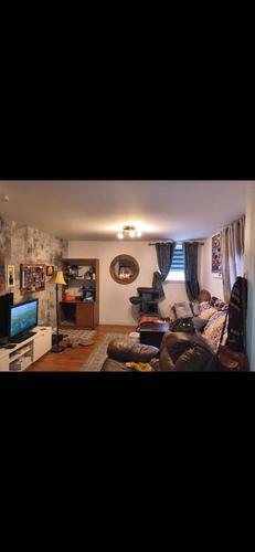 1 bedroom apartment for rent in Lévis — photo 5