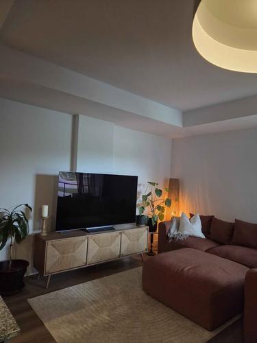 1 bedroom apartment for rent in Lévis — photo 4